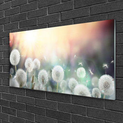 Pintura acrílica Flores de dente-de-leão Natureza