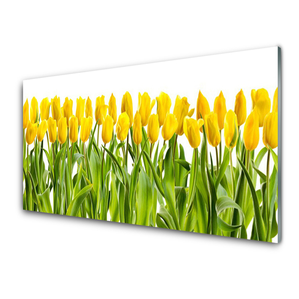 Quadro acrílico Tulipas Flores Natureza