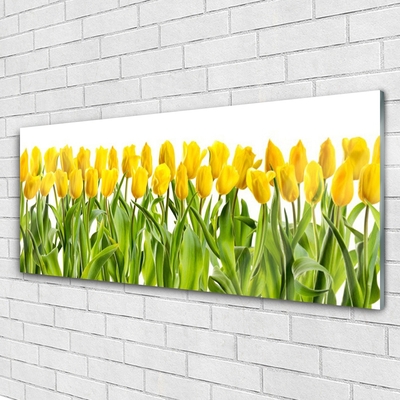 Quadro acrílico Tulipas Flores Natureza