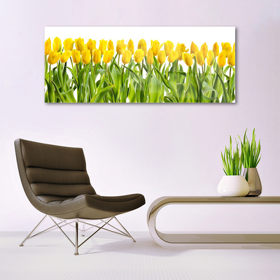 Quadro acrílico Tulipas Flores Natureza