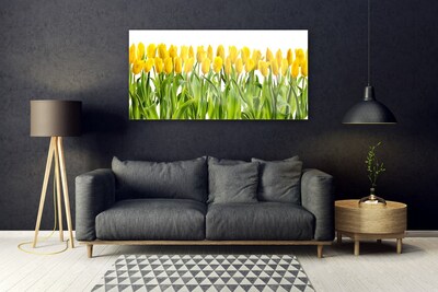 Quadro acrílico Tulipas Flores Natureza