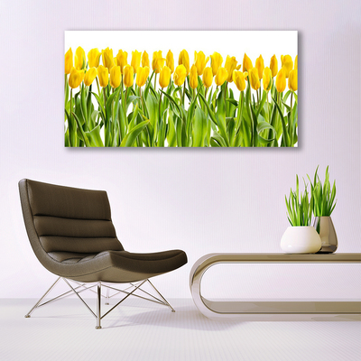 Quadro acrílico Tulipas Flores Natureza
