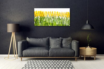 Quadro acrílico Tulipas Flores Natureza