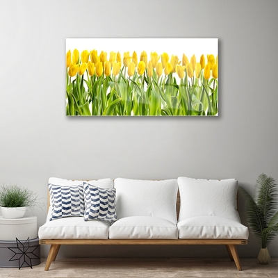 Quadro acrílico Tulipas Flores Natureza