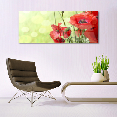Quadro acrílico Papoulas Flores Natureza Planta