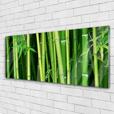 Pintura acrílica Floresta de Bambu Bambu Natureza