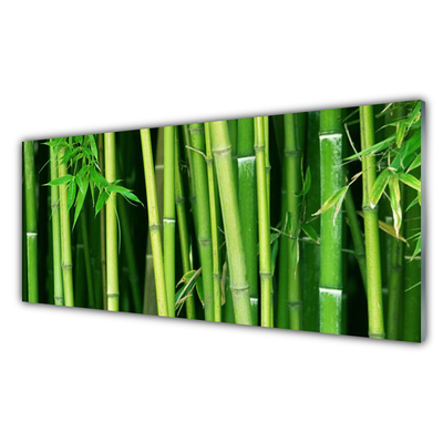 Pintura acrílica Floresta de Bambu Bambu Natureza