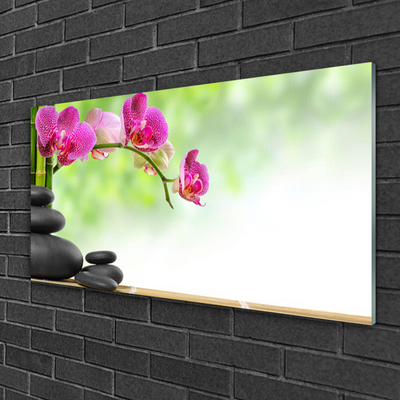 Quadro acrílico Brotos de Bambu Stone Zen Spa