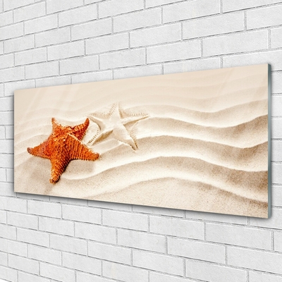 Quadro acrílico Estrela do mar na areia da praia