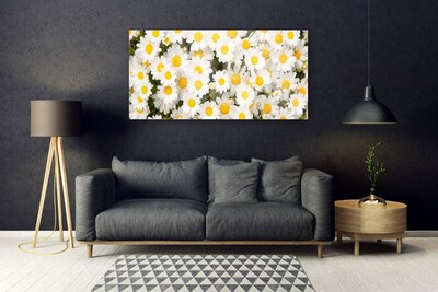 Quadro acrílico Margaridas Flores