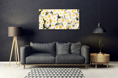 Quadro acrílico Margaridas Flores
