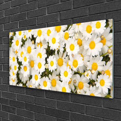 Quadro acrílico Margaridas Flores