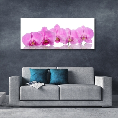 Quadro acrílico Flores de orquídea rosa