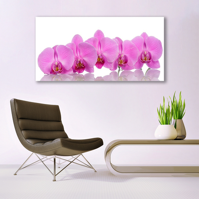 Quadro acrílico Flores de orquídea rosa
