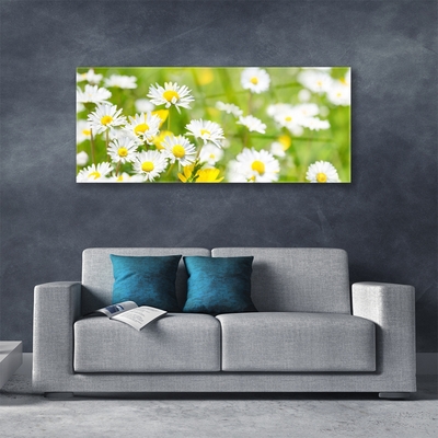 Quadro acrílico Planta de flor margarida