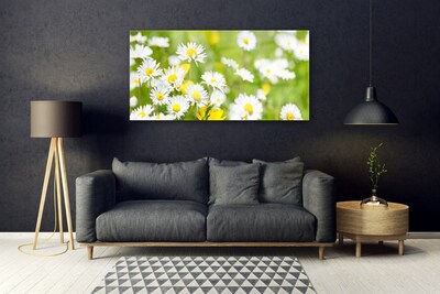 Quadro acrílico Planta de flor margarida