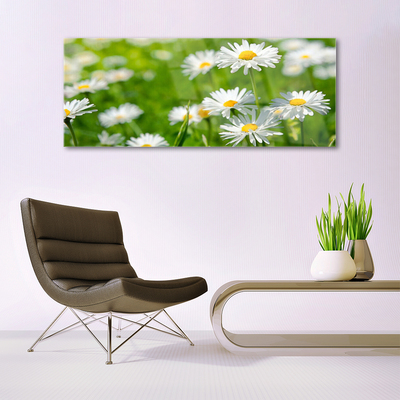 Quadro acrílico Planta de flor margarida