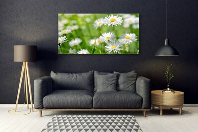 Quadro acrílico Planta de flor margarida