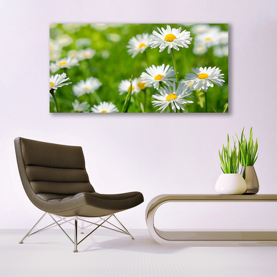Quadro acrílico Planta de flor margarida