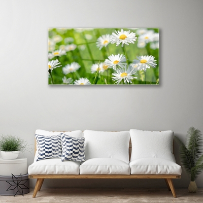 Quadro acrílico Planta de flor margarida