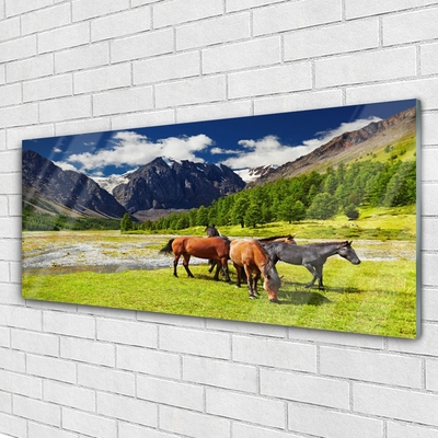 Quadro acrílico Montanhas Árvores Cavalos Animais