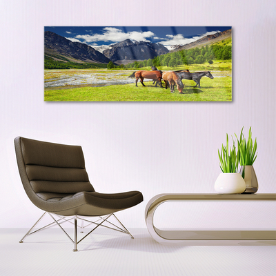 Quadro acrílico Montanhas Árvores Cavalos Animais