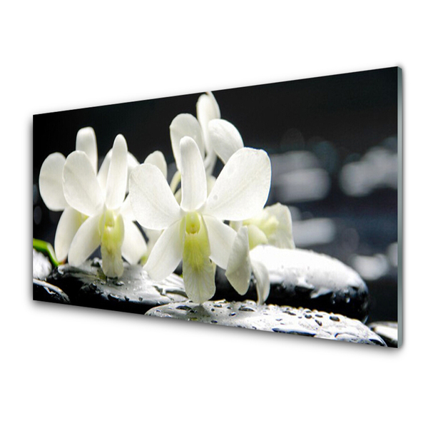 Quadro acrílico Pedras Flores Orquídea