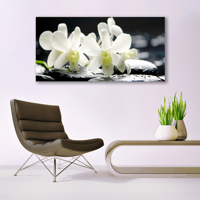 Quadro acrílico Pedras Flores Orquídea