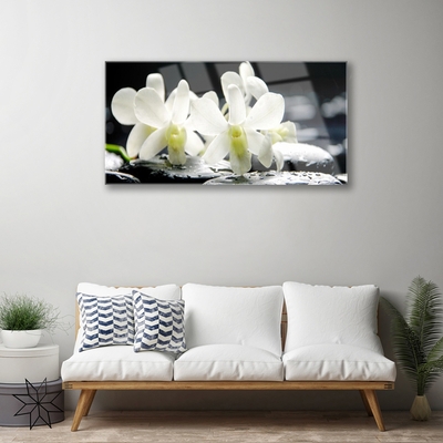 Quadro acrílico Pedras Flores Orquídea