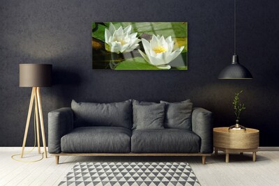 Quadro acrílico Flores Plantas Natureza