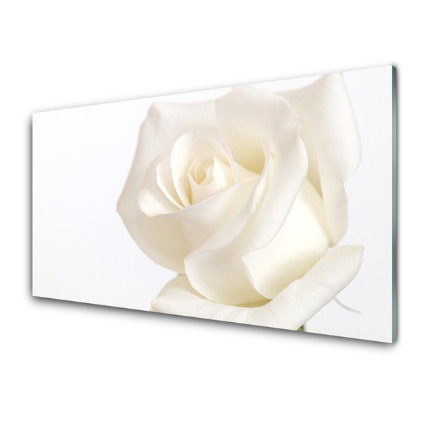 Quadro acrílico Flores de rosas