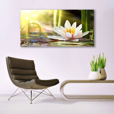 Quadro acrílico Flor de lírio d'água