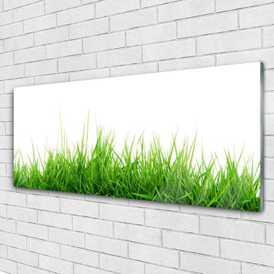 Quadro acrílico Grama Natureza Planta