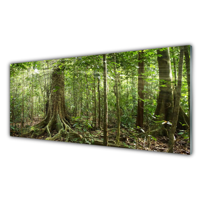 Quadro acrílico Floresta Natureza Selva Árvores
