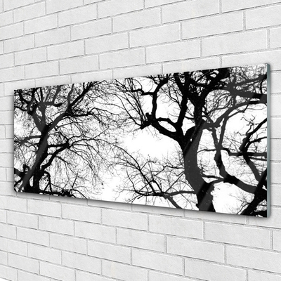 Quadro acrílico Árvores Natureza Preto e Branco
