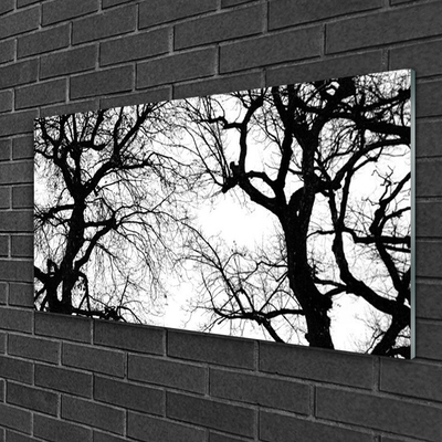 Quadro acrílico Árvores Natureza Preto e Branco