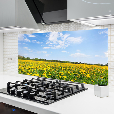 Painel cozinha Prado de Dente-de-leão