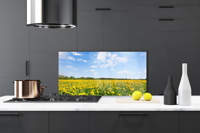 Painel cozinha Prado de Dente-de-leão