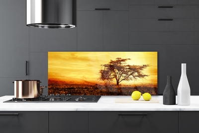 Painel vidro cozinha Natureza da Árvore