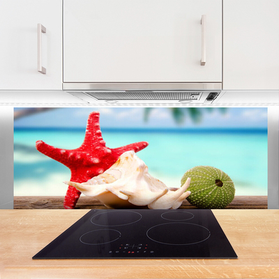 Painel vidro cozinha Arte em conchas e estrelas do mar