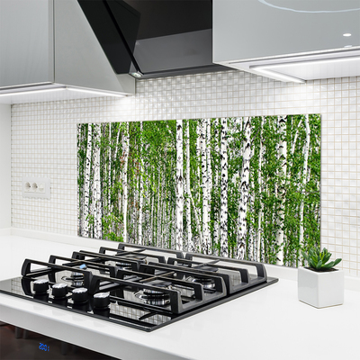 Painel vidro cozinha Árvores da floresta de bétulas Natureza