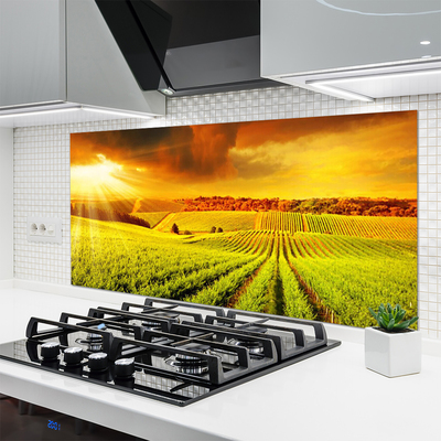 Painel cozinha Paisagem do pôr do sol no campo