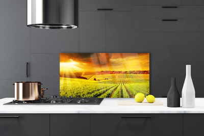 Painel cozinha Paisagem do pôr do sol no campo