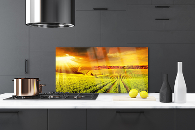 Painel cozinha Paisagem do pôr do sol no campo