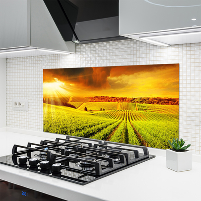 Painel cozinha Paisagem do pôr do sol no campo