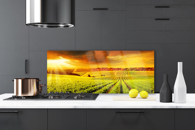 Painel cozinha Paisagem do pôr do sol no campo