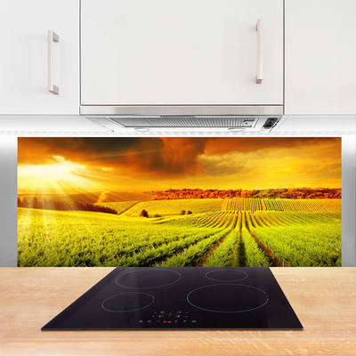 Painel cozinha Paisagem do pôr do sol no campo