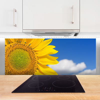 Painel vidro cozinha Girassol Céu Nuvens