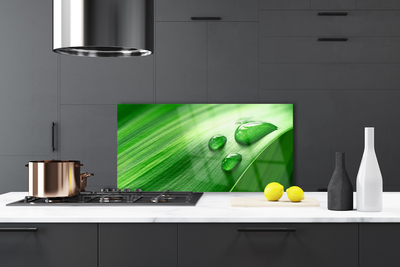 Painel cozinha Gotas de água de folhas