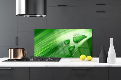 Painel cozinha Gotas de água de folhas